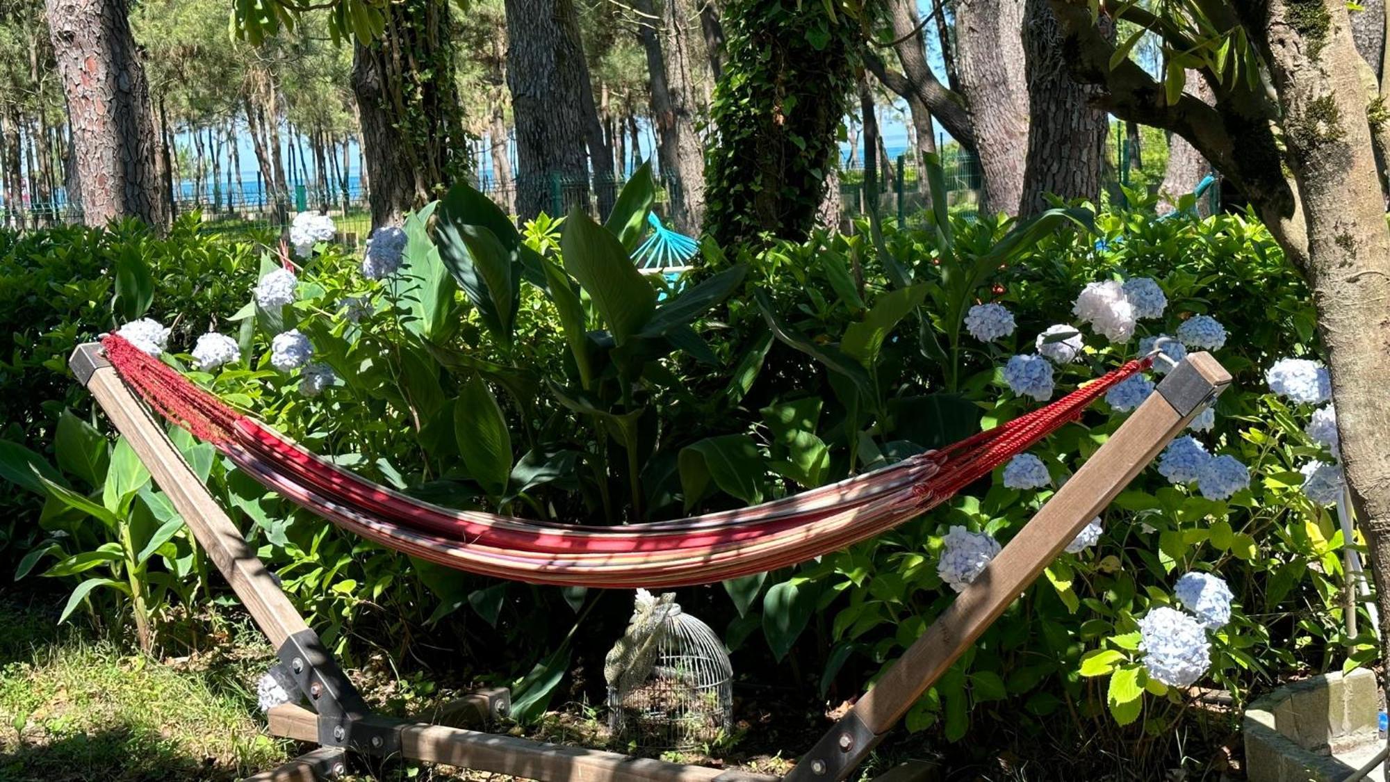 Iveria Elli Hotel Shekhvetili Bagian luar foto
