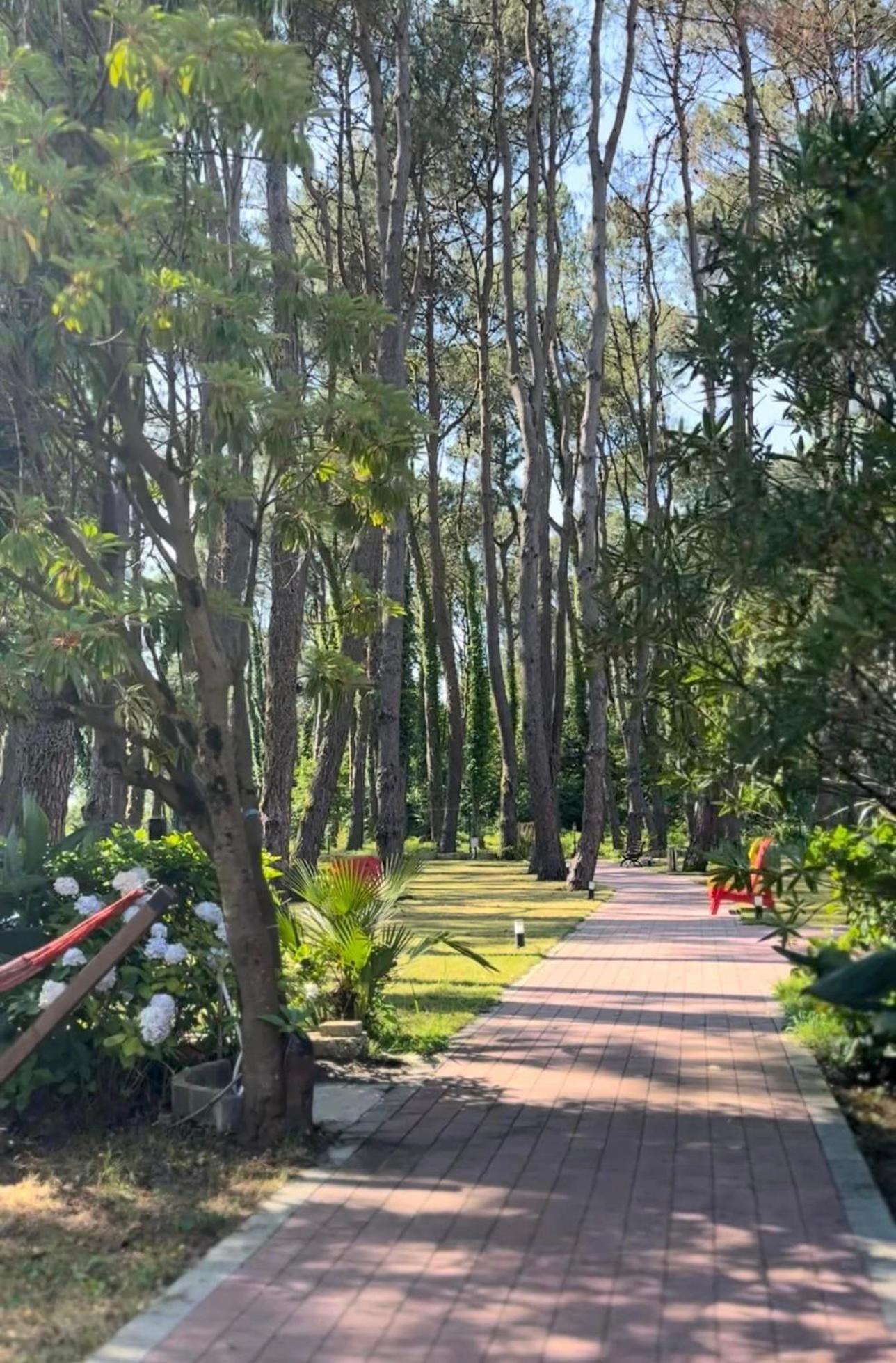 Iveria Elli Hotel Shekhvetili Bagian luar foto